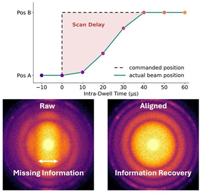 Scan-Coil Delay Causes Anisotropic Signal Loss in Fast 4D-STEM